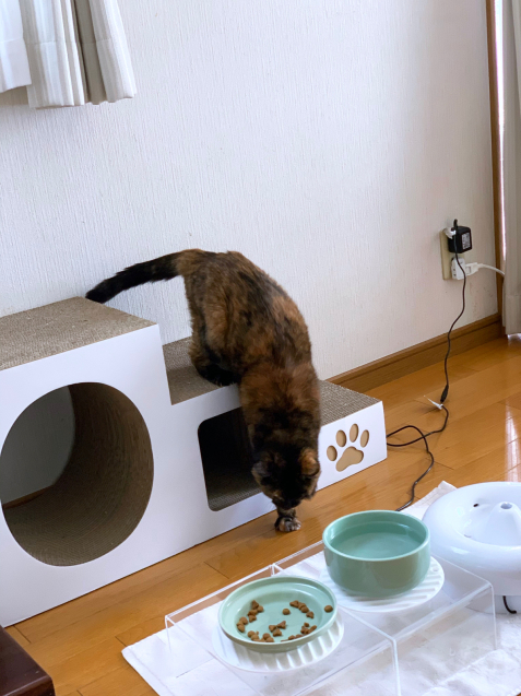 結構強引に。_d0355333_20245046.jpg