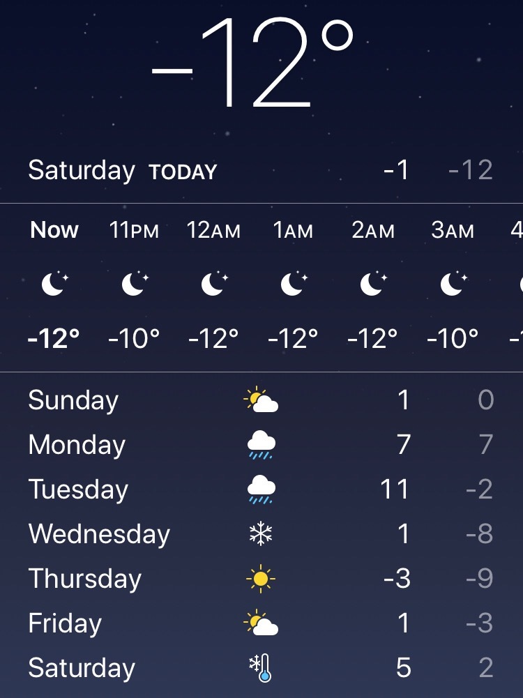 冷え込んで雪が消える?_e0373235_14215932.jpeg