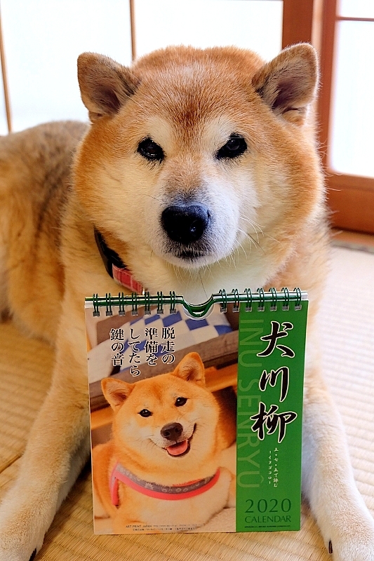 来年の準備_b0314043_13224863.jpg