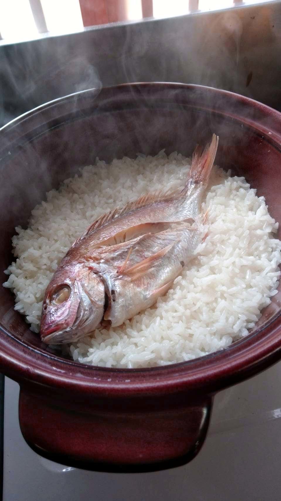 すずかちゃんの佳き日のごはん_d0377645_23463014.jpg