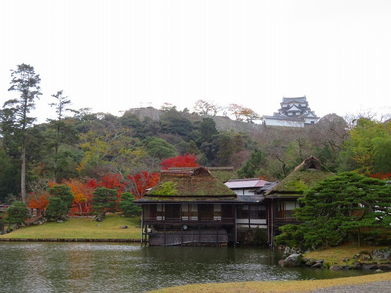 彦根城庭園『玄宮園ほか」20191203_e0237645_23055495.jpg