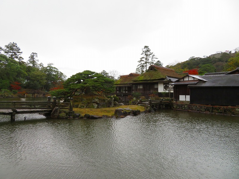 彦根城庭園『玄宮園ほか」20191203_e0237645_23055766.jpg