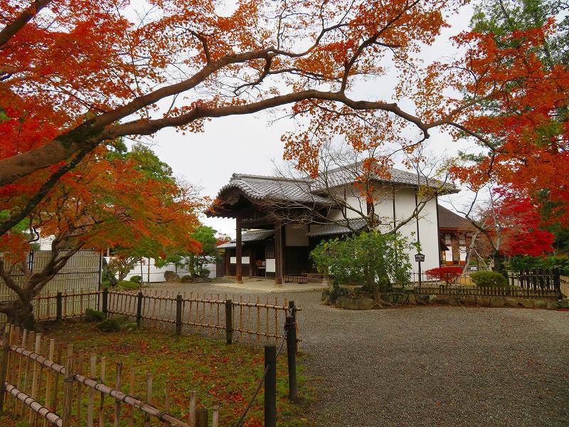 彦根城庭園『玄宮園ほか」20191203_e0237645_23075327.jpg