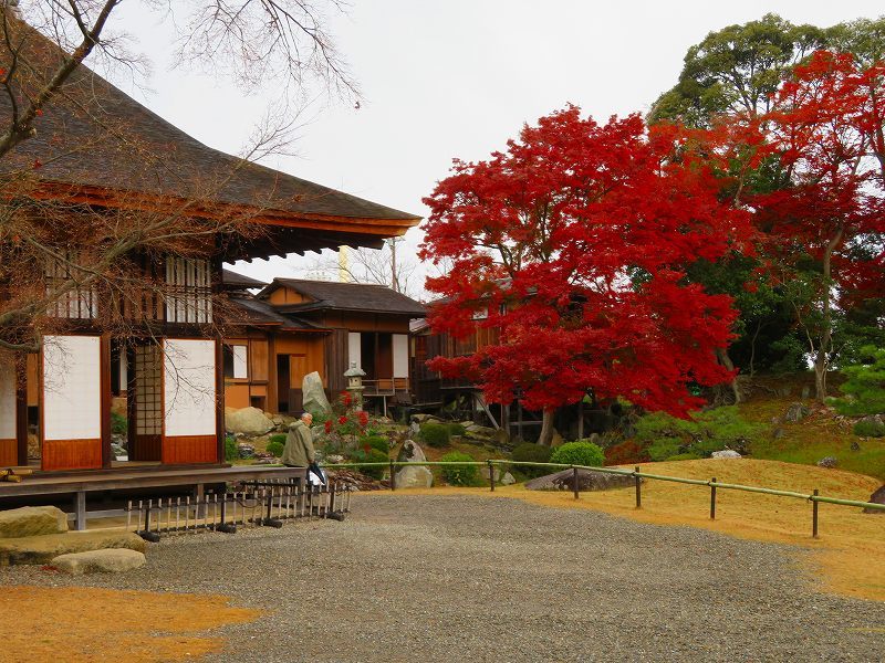 彦根城庭園『玄宮園ほか」20191203_e0237645_23075348.jpg