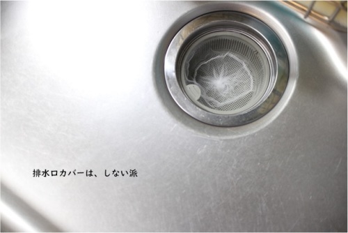 水切りネットが排水口を救う_e0343145_22434160.jpg