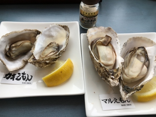 冬はアイスホッケー!「ひがし北海道クレインズ」応援記_e0326953_23532122.jpg