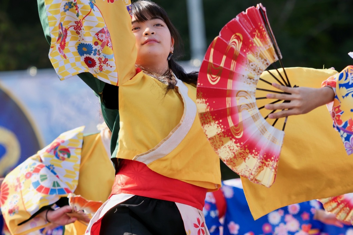 2018日原らっせによさこい祭りその15(あねれんその1)_a0009554_00203436.jpg
