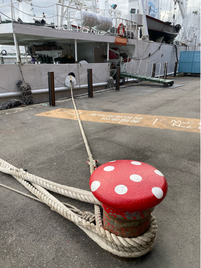 6日目台湾前編 基隆入港から台北まで ダイヤモンドプリンセス沖縄台湾クルーズ2019_f0054556_15203071.jpg