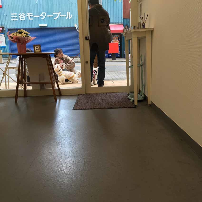 2019「うちの子あの子に出会う展」無事終了_b0107163_16210916.jpg