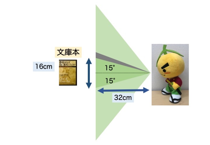 緑内障の誤解 その1「黒く欠ける」part 3_a0257968_18510050.jpeg