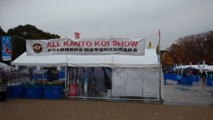 ALL KANTO KOI SHOW@上野恩賜公園で錦鯉を観る_c0002171_10113646.jpg