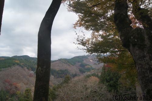 今年最後の紅葉~吉野山_e0181373_21431379.jpg