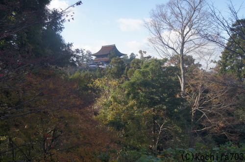 今年最後の紅葉~吉野山_e0181373_21432481.jpg