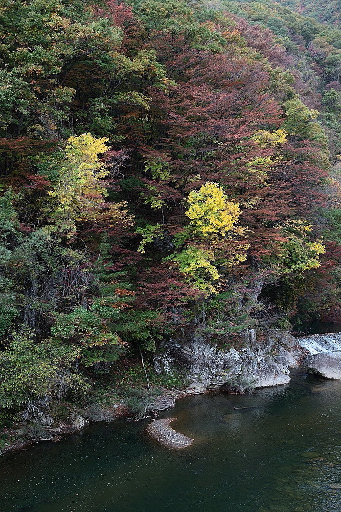 仙北市 紅葉の名所 抱返り渓谷 後半_e0165983_11452299.jpg