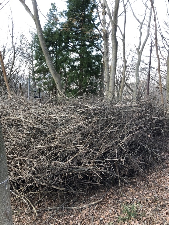2019年１２月８日　箱根湯河原箱根_b0098584_15254632.jpeg