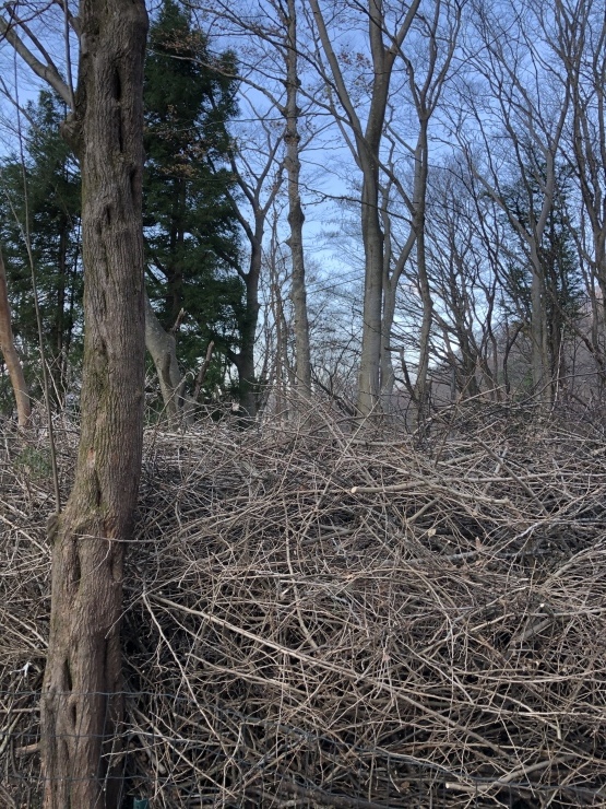 2019年１２月８日　箱根湯河原箱根_b0098584_15260730.jpeg