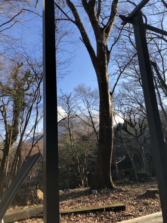 2019年１２月８日　箱根湯河原箱根_b0098584_15263217.jpeg