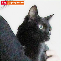 ファッション界に進出!?_a0389088_16194927.jpg