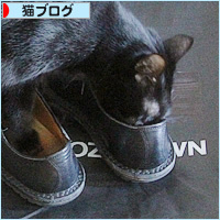 ファッション界に進出!?_a0389088_16194947.jpg