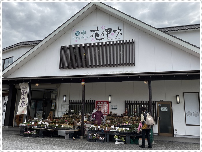 名古屋発、おひとり参加のツアー 備忘録 その2 多良峡から鶏足寺、その前に昼食もね_b0175688_23322847.jpg