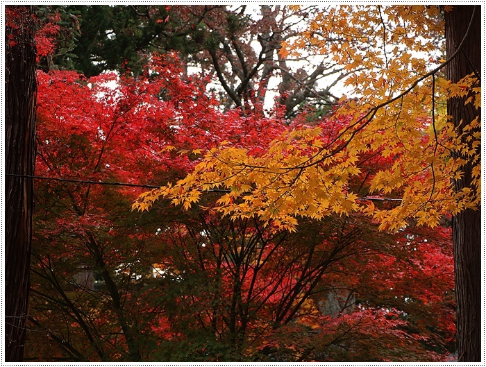 名古屋発、おひとり参加のツアー 備忘録 その2 多良峡から鶏足寺、その前に昼食もね_b0175688_23475134.jpg