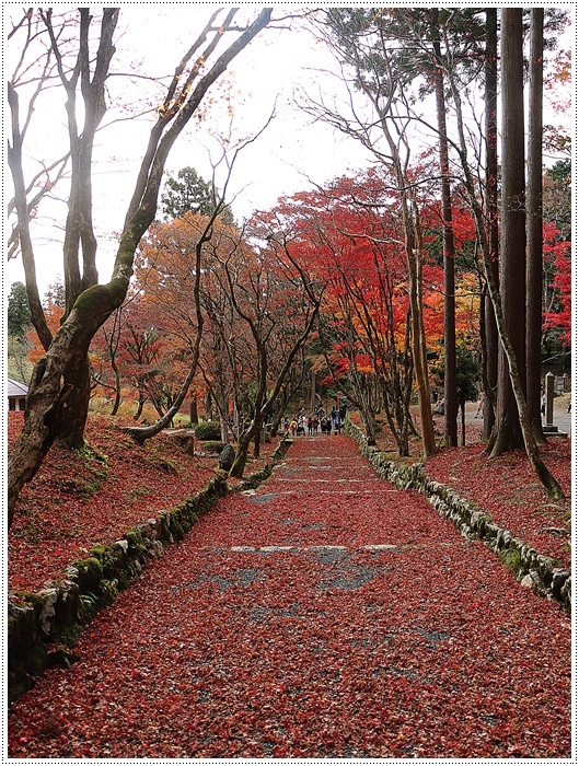 名古屋発、おひとり参加のツアー 備忘録 その2 多良峡から鶏足寺、その前に昼食もね_b0175688_23480656.jpg