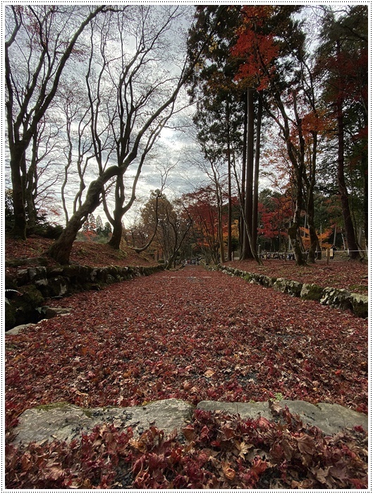 名古屋発、おひとり参加のツアー 備忘録 その2 多良峡から鶏足寺、その前に昼食もね_b0175688_23482351.jpg