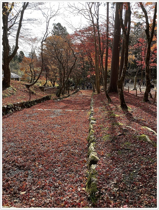 名古屋発、おひとり参加のツアー 備忘録 その2 多良峡から鶏足寺、その前に昼食もね_b0175688_23484051.jpg