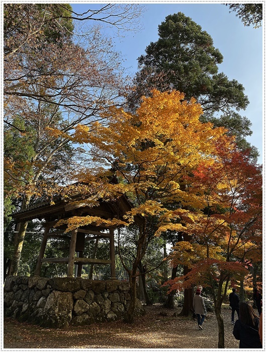 名古屋発、おひとり参加のツアー 備忘録 その2 多良峡から鶏足寺、その前に昼食もね_b0175688_23593139.jpg