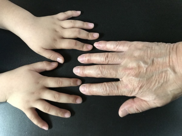 パセリ一家の手比べと甥っ子が山口から_e0397389_15251582.jpeg