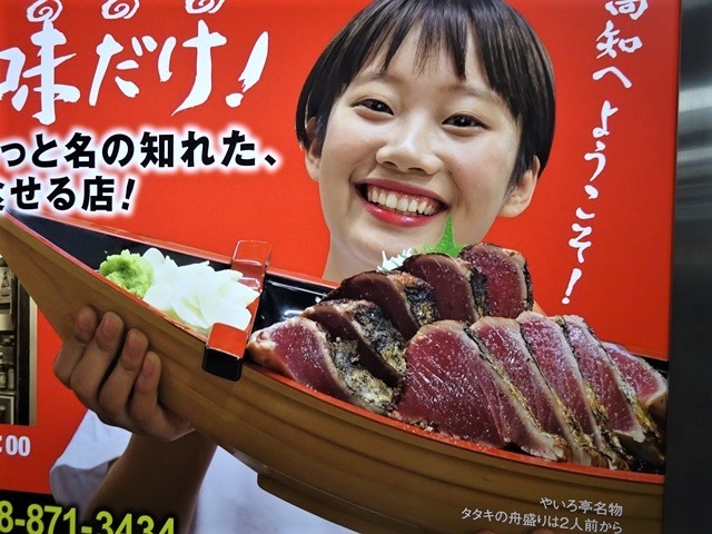 高知と言えば坂本龍馬、高知と言えばカツオのたたき・・・美味しいものが一肺の高知、歴史に裏付けされる高知の魅力_d0181492_23502571.jpg