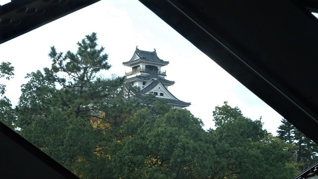 明治維新になぜ坂本龍馬が高知から中央へ、日本を動かす力はなぜ生まれたのか、高知が生んだ輩出した明治維新に活躍した若者たち_d0181492_23531802.jpg