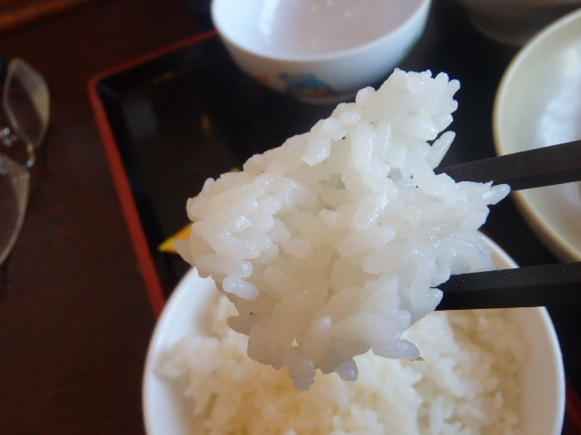 讃岐製麺 箕面半町店_c0118393_11233782.jpg