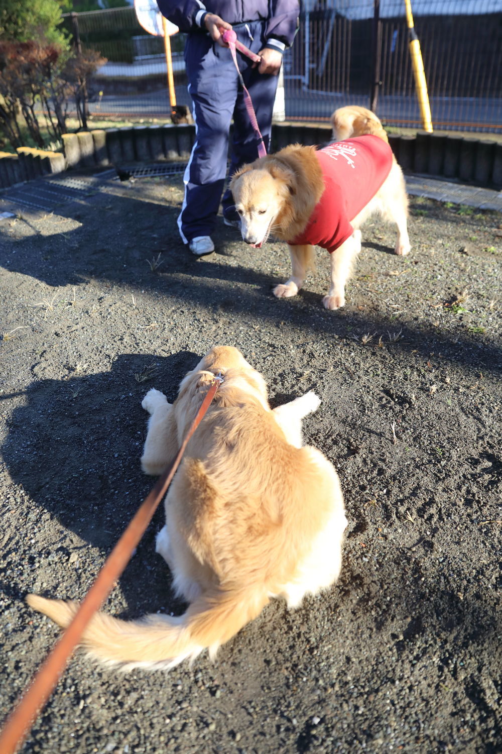 紅葉♪_b0275998_14083787.jpg