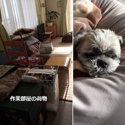 今年最後の模様替え~w_f0372998_21053689.jpg