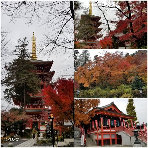 日々の事_c0051105_11373741.jpg