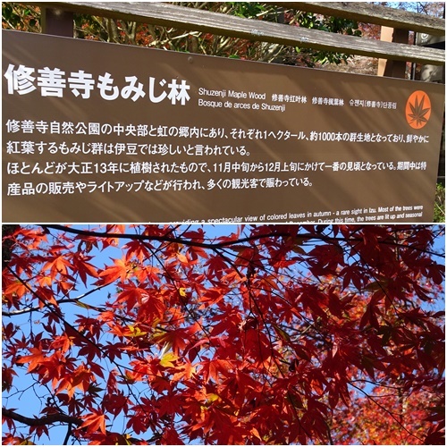 忘年会旅行 (二日目)_c0051105_20454671.jpg