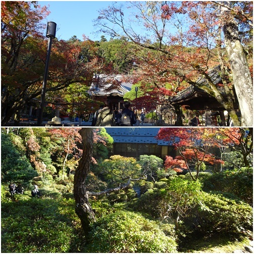 忘年会旅行 (二日目)_c0051105_21095506.jpg