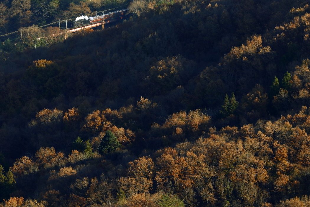 12月の午後3時の斜光線に光る汽車と蒸気 - 2019年晩秋・秩父鉄道 -_b0190710_18341410.jpg