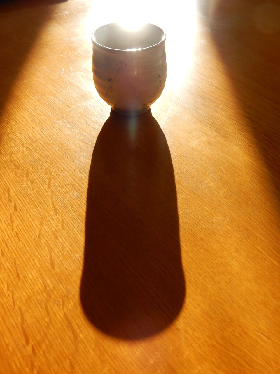 寒さから脱出中_c0025115_22285304.jpg