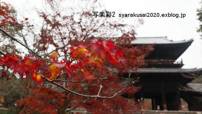 南禅寺に行く2019年12月-8_b0398018_18451365.jpg