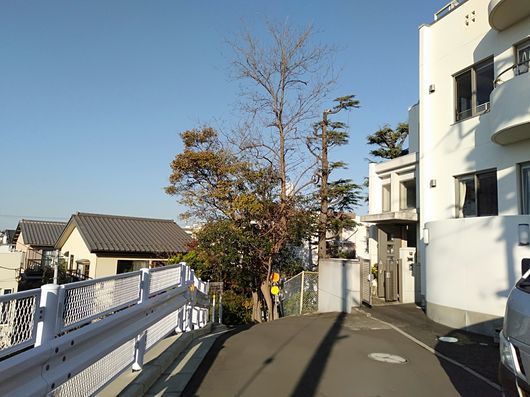 c0162128_07485703.jpg