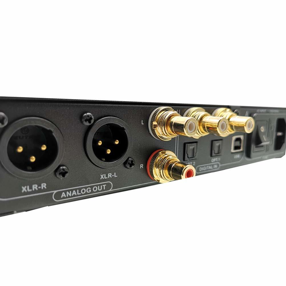 レンタル中の　Denafrips ARES II R2R DAC_c0141933_22315140.jpg