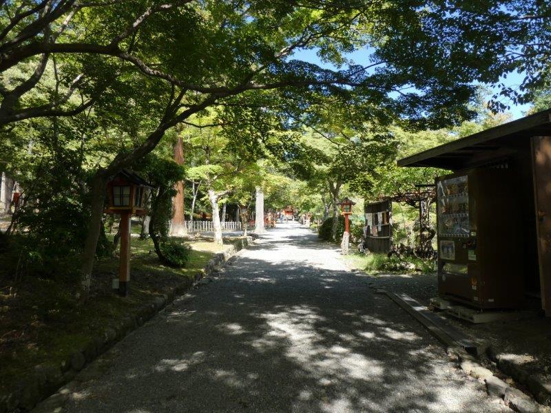 そば切り こごろ 　蝶々も舞う蕎麦屋さん_d0106134_14205611.jpg