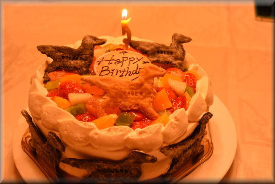 アルクスの5歳を祝う #6_f0363141_13024722.jpg