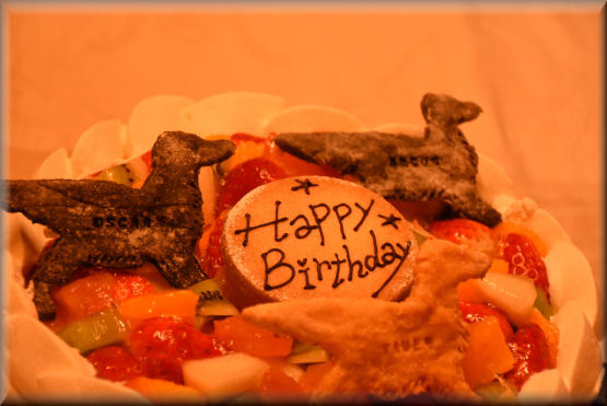 アルクスの5歳を祝う #6_f0363141_13065389.jpg