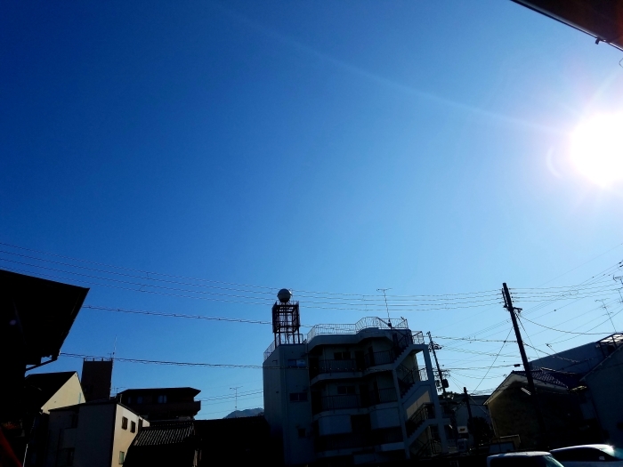 本日は晴天なり_f0246254_12552219.jpg