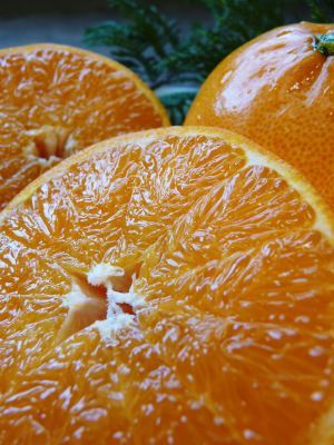 究極の柑橘『せとか』は今年も順調に色づいてきています!2月上旬の収穫へ向け美味しさを閉じ込めます!_a0254656_17005139.jpg