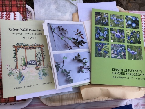 恵泉女学園大学 花と平和のミュージアムバラ園資料_a0094959_02163218.jpeg