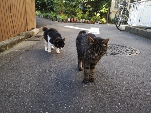 路地裏で安くて美味しい煎餅に出会う 雑司が谷 小倉屋製菓 Photo Blog 人生の半ばを過ぎて 路地裏で安くて美味しい煎餅に出会う 雑司が谷 小倉屋製菓 Photo Blog 人生の半ばを過ぎて